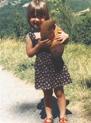 ame-nounours.jpg (42114 octets)