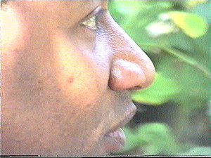 jl-gp.jpg (19910 octets)